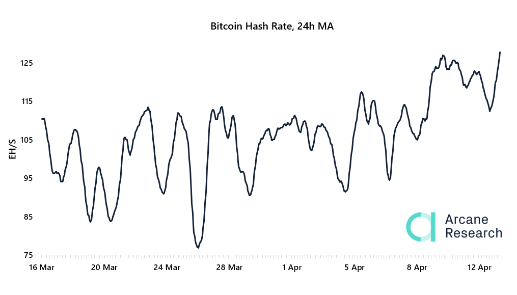 24 saatlik Bitcoin hash oranı | Kaynak: Arcane