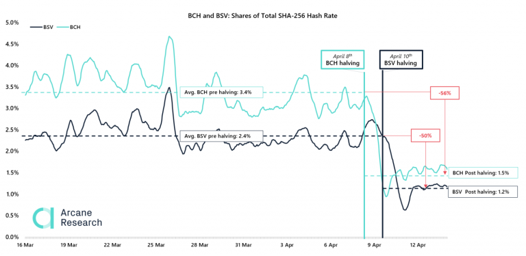 BCH ve BSV hash oranları. Kaynak: Arcane
