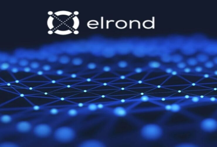 Elrond (EGLD) %240 Yükseldikten Sonra Şubat Ayı Fiyat Tahmini