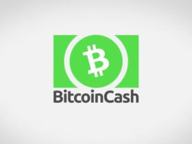 Bitcoin Cash Fiyat Analizi: 21 Şubat