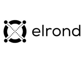Elrond (EGLD) Fiyat Analizi: 12 Mart 2021