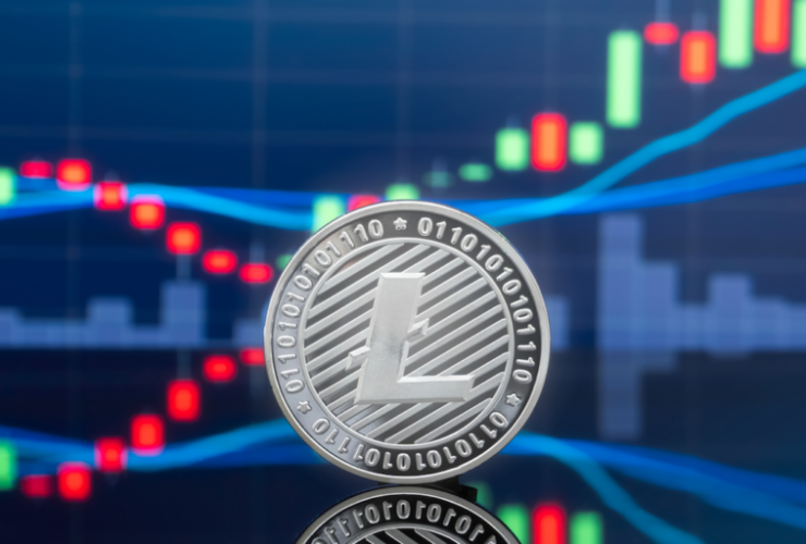 Litecoin Fiyat Analizi: 25 Şubat 2021