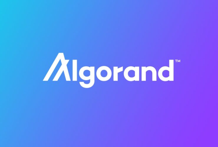 Algorand Fiyat Analizi: ALGO % 30’luk Bir Boğa Rallisine Hazırlanıyor