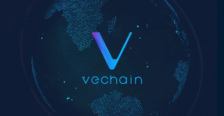 VeChain (VET) Fiyat Analizi: 12 Mart 2021