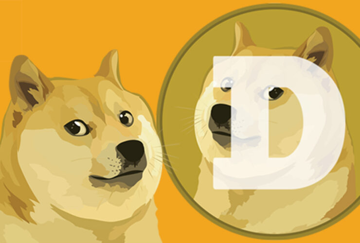 Dogecoin balonu göründüğü kadar mantıksız mı?