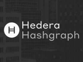 Hedera Hashgraph Fiyat Analizi (HBAR): 12 Mart 2021