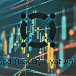 Elrond (EGLD) Fiyat Analizi: 27 Nisan 2021